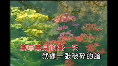 邓丽君 - 恰似你的温柔