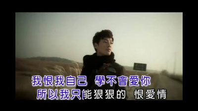 李天华 - 恨爱情