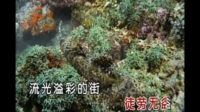 金志文、吉娜 - 一个人的城市
