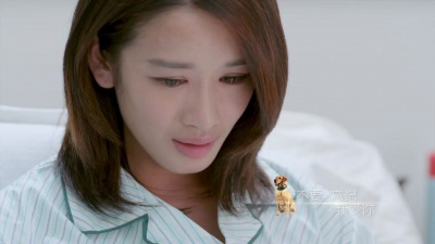 张碧晨 - 不要忘记我爱你