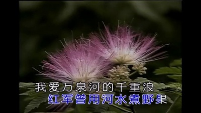 李双江 - 我爱五指山我爱万泉河