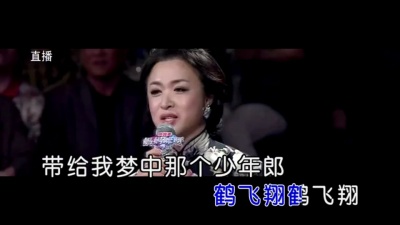吴瑶 - 鹤飞翔