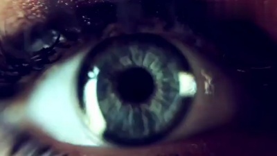 Frankmusik - Ephemeral Summer