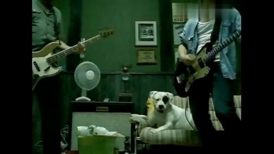 The Cardigans - I Need Some Fine Wine and You,You Need to Be Nicer