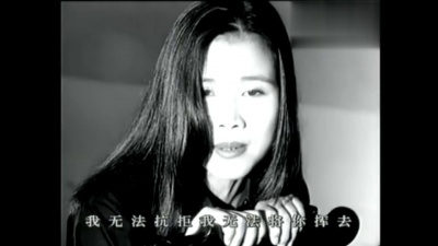 田震 - 野花