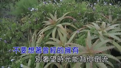 祁隆 - 放下是一种解脱