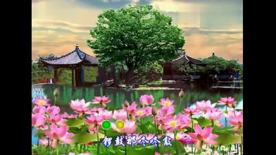 龙梅子、王麟 - 恭喜喜发财财