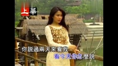 高胜美 - 你怎么说