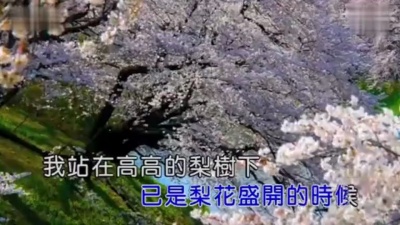韩红 - 梨花开