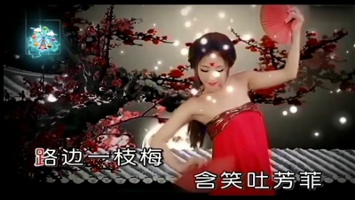 云菲菲 - 一枝梅