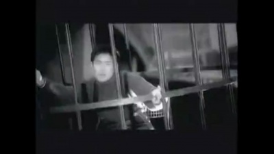 爱豆圈 - 望月