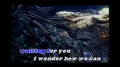阿杜 - Right Here Waiting
