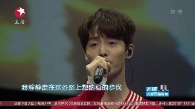 马天宇 - 手花+我只在乎你