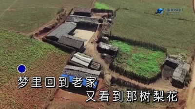 陈国祥 - 那树梨花