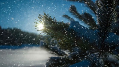 The Orchestra of the Royal Opera House, Covent Garden - The Nutcracker, Op. 71: No. 9, Waltz of the Snowflakes (Audio)
