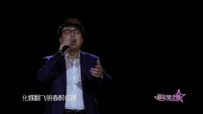 王晓亮 - 相思枫叶红