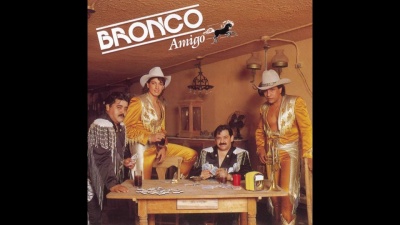 bronco - Amigo Bronco