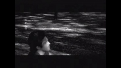 蔡健雅 - 达尔文