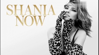 Shania Twain - Because Of You 试听版