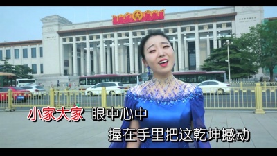 夏花-陈若玫 - 中国情中国梦