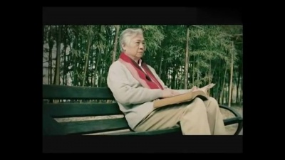 毛方圆 - 盗梦者