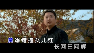 孟庭苇 - 此情可问天