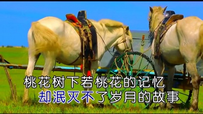 王觉 - 桃树林下又见兰草初叶 (KTV版)