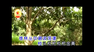 国巍 - 饮养源枇杷酒 (KTV版)