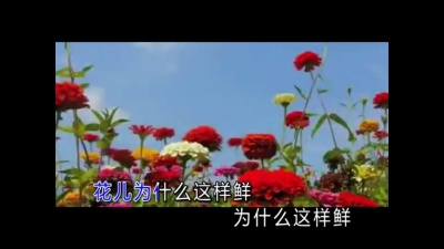 常石磊 - 花儿为什么这样红 (KTV版)