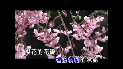 shelly佳 - 樱花 (KTV版)