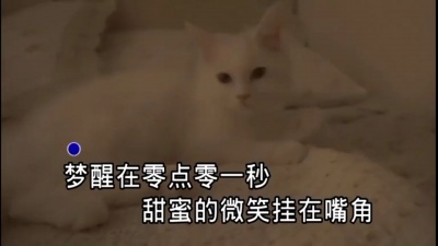 孙艺玲 - 做你的猫 (KTV版)