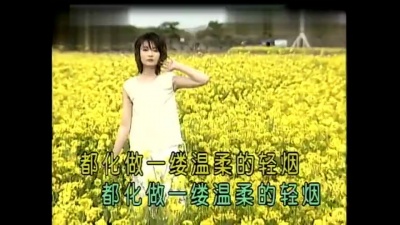 甄珍 - 冷清的花 (KTV版)