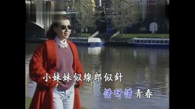 紫薇 - 天涯歌女 (KTV版)