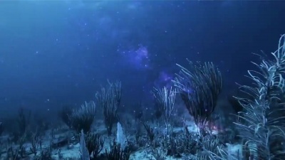 Chaim - Underwater