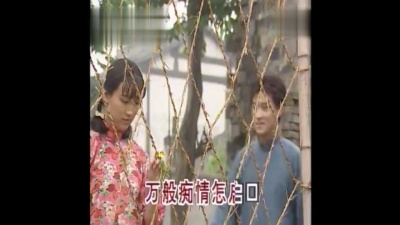 吴莺音 - 侬本痴情 (KTV版)