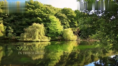 Valdi Sabev - In This World