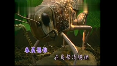 潘安邦 - 想你