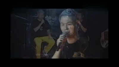 Swing - 鱼虾蟹