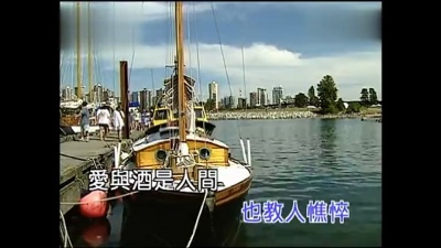 李雅芳 - 爱与酒