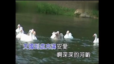杨燕 - 深河