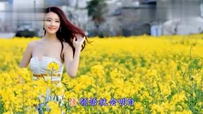 龙梅子、姜姿伢 - 今生情前世债