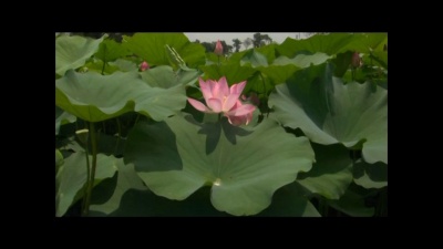 许嵩、何曼婷 - 素颜
