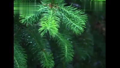 풍경(风景) - 五匹野马