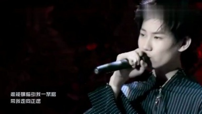 陈泗旭、张真源 - 被驯服的象