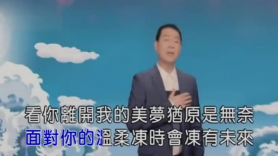 蔡小虎 - 爱的滋味 (KTV版)