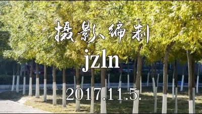 孙露 - 晚秋