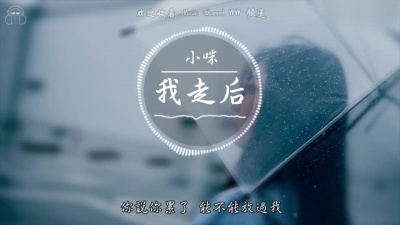 小咪 - 我走后