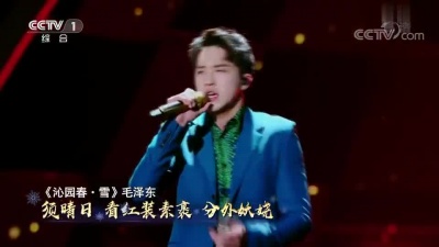 许魏洲、经典咏流传 - 沁园春·雪