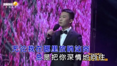 张皓强 - 在那桃花盛开的地方