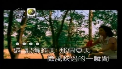 金莎、林俊杰 - 被风吹过的夏天
